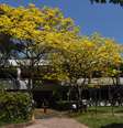 O Colégio Santa Cruz é uma das escolas de elite mais tradicionais de São Paulo.  Foto: Reprodução/Linkedin 