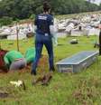 Corpo foi exumado para realização do cruzamento de dados  Foto: Divulgação/Polícia Científica de Santa Catarina