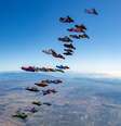  Foto: ©Fly Brothers / DINO