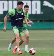 (  Foto: Cesar Greco/Palmeiras / Esporte News Mundo