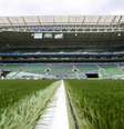  Foto: Fabio Menotti/Palmeiras - Legenda: Vista interna do Allianz Parque, estádio do Palmeiras / Jogada10