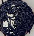 102 cobras venenosas foram encontradas em quintal na Austrália  Foto: Reprodução/X