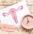 A menopausa traz mudanças hormonais que podem se manifestar em sintomas diferentes para cada mulher  Foto: Pixel-Shot | Shutterstock / Portal EdiCase