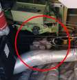 Gato se escondeu em compartimento elétrico de avião  Foto: Reprodução/Jam Press