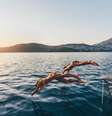 Já pensou em tirar férias para passar o dia nadando?  Foto: Getty Images / BBC News Brasil