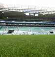  Foto: Fabio Menotti/Palmeiras - Legenda: Palmeiras emite comunicado defendendo gramado do Allianz Parque / Jogada10