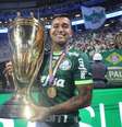 Dudu atuou cinco anos no Palmeiras, durante período em que o clube passou a adotar o gramado sintético.  Foto: Alex Silva/Estadão / Estadão