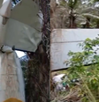 Imagens do avião caído em uma área de mata  Foto: Reprodução/X