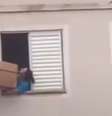 Cachorro estava preso em condomínio de Guarulhos; vídeo mostra momento em que mulher salva o animal com caixa de papelão  Foto: Reprodução/X / Contigo