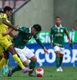 (  Foto: Fábio Menotti/Palmeiras / Esporte News Mundo