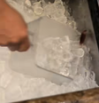 Cliente mostra barata em recipiente de gelo de bar  Foto: Reprodução/TikTok