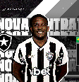 Foto: Divulgação / Botafogo / Esporte News Mundo