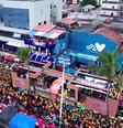 Bloco fica travado em coqueiro  Foto: Reprodução/YouTube