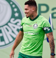 Paulinho do Palmeiras  Foto: Reprodução/Redes Sociais