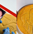 Fernanda Torres 'vira' empadão em homenagem  Foto: Reprodução/receitas.fabulosas/Instagram