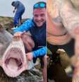Um incidente impressionante ocorreu na África do Sul quando Curtis Miller, um galês de 30 anos, foi atacado por um tubarão enquanto pescava  Foto: Reprodução / Perfil Brasil