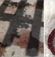  Homem tenta engolir cobra, passa mal e vomita animal após bebedeira  Foto: Reprodução/TV Verdes Mares