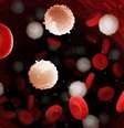A leucemia é um câncer comum  Foto: 3dMediSphere | Shutterstock / Portal EdiCase