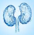 O câncer renal é uma doença que merece atenção  Foto: SP Creative Studio | Shutterstock / Portal EdiCase