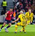 Borussia Dortmund vira sobre o Lille e vai às quartas de final da Champions   Foto: Divulgação/LOSC/X / Esporte News Mundo