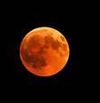Lua de Sangue 2025: eclipse lunar desta semana tem significado espiritual importante e vai trazer 'questões ocultas à tona', diz astróloga.  Foto: Wireimage/Freepik / Purepeople