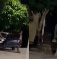 Mulher sobe no para-brisa do carro do marido durante discussão no MT  Foto: Reprodução