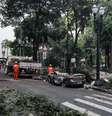Árvore bicentenária caiu no Largo do Arouche, região central de São Paulo  Foto: Felipe Rau/Estadão / Estadão