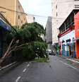 Queda de árvore na rua Aurora, região da Santa Ifigênia, devido ao forte temporal que atingiu a região de São Paulo, na tarde desta quarta-feira (12).  Foto: ROBERTO SUNGI/ATO PRESS/ESTADÃO CONTEÚDO