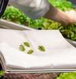 Fazendas urbanas vêm usando escritórios vazios desde a pandemia para cultivar alimentos em várias partes do mundo  Foto: Australia Greenspace / BBC News Brasil