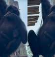 Filhote fêmea de macaco-aranha-da-cara-preta  Foto: Reprodução/Instagram/Bioparque
