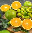 Consumo da laranja com bagaço aumenta a ingestão de fibras  Foto: Freepik