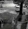 Criminosos estariam invadindo casas e expulsando moradores na zona sul do Rio de Janeiro  Foto: Reprodução/TV Globo