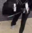 Cachorro foi descoberto em uma lixeira de banheiro  Foto: Reprodução/Polícia de Orlando