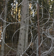 Imigrantes usam escadas e alicates para cruzar a cerca de arame farpado instalada pela Polônia em 2022  Foto: Jack Garland, BBC News / BBC News Brasil