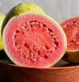 A goiaba é rica em vitaminas e nutrientes essenciais  Foto: Muklis_7 | Shutterstock / Portal EdiCase