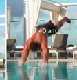 Saiba quem é Ashton Hall e por que sua "rotina matinal" está viralizando nas redes sociais  Foto: Reprodução/Instagram