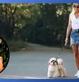 Foto: Montagem Homework