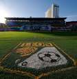 León.   Foto: Leopoldo Smith/Getty Images / Esporte News Mundo