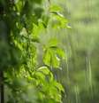 Entenda a conexão entre nosso corpo e a natureza  Foto: Shutterstock / João Bidu