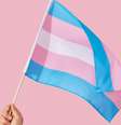 Cirurgias plásticas e afirmação de gênero: como os procedimentos impactam a qualidade de vida de pessoas trans  Foto: Reprodução / Viva Saúde