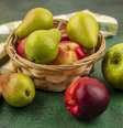 Conheça as diferenças nutricionais entre a maçã e a pera  Foto: Freepik