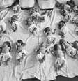 Nas décadas de 1950 e 60, os bebês eram frequentemente cuidados por parteiras em grandes berçários nos hospitais do NHS.  Foto: Getty Images / BBC News Brasil
