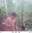 Imagem capturada na selva por uma armadilha fotográfica em 2024  Foto: CGIIRC/Funai / BBC News Brasil