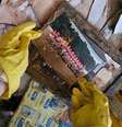Fotografia encontrada em uma casa destruída pelas enchentes na cidade gaúcha de Sinimbu  Foto: DW / Deutsche Welle