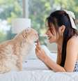 Os petiscos contribuem para a saúde física e mental dos animais  Foto: Bangkok Click Studio | Shutterstock / Portal EdiCase