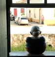  Foto: Eduardo Vessoni / Viagem em Pauta