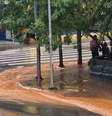 'Rio de lama' se formou próximo a parque no Centro de São Paulo  Foto: Bruno Almeida/Terra