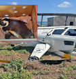Caixa com pinguim contribuiu para acidente aéreo  Foto: Reprodução