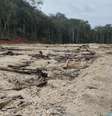 Área de desmatamento alvo de projeto de restauração ecológica: ciência faz a ponte entre esses tempos conflitantes das empresas e da natureza, harmonizando e buscando garantir o sucesso do processo Morfo/Divulgação  Foto: The Conversation