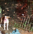 Tragédia! Bebê de 3 meses morre após ser atacado por pitbull  Foto: Reprodução/ Instagram / Contigo